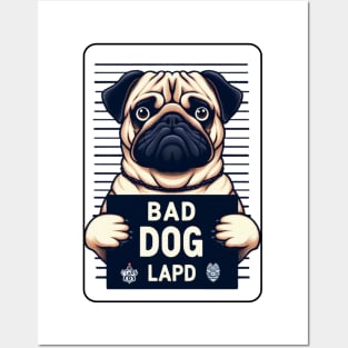 Bad Dog Pug Mugshot Posters and Art